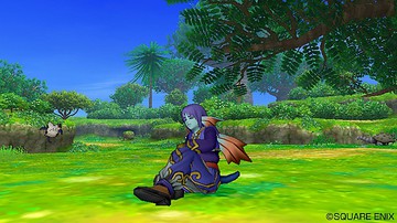 Dragon Quest X - Screenshot #61228 | 640 x 360