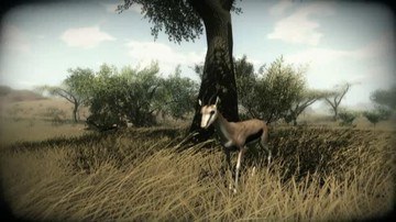 Far Cry 2 - Screenshot #4168 | 640 x 360
