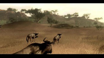 Far Cry 2 - Screenshot #4205 | 1280 x 720