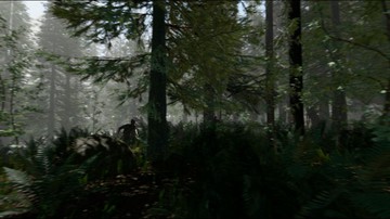 The Forest - Screenshot #105513 | 1920 x 1080