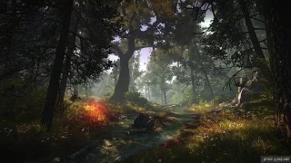 The Witcher 2: Assassins of Kings - Screenshot #63809 | 1280 x 720