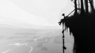 Limbo | Eagle's Nest (Steam-Sammelkarte)