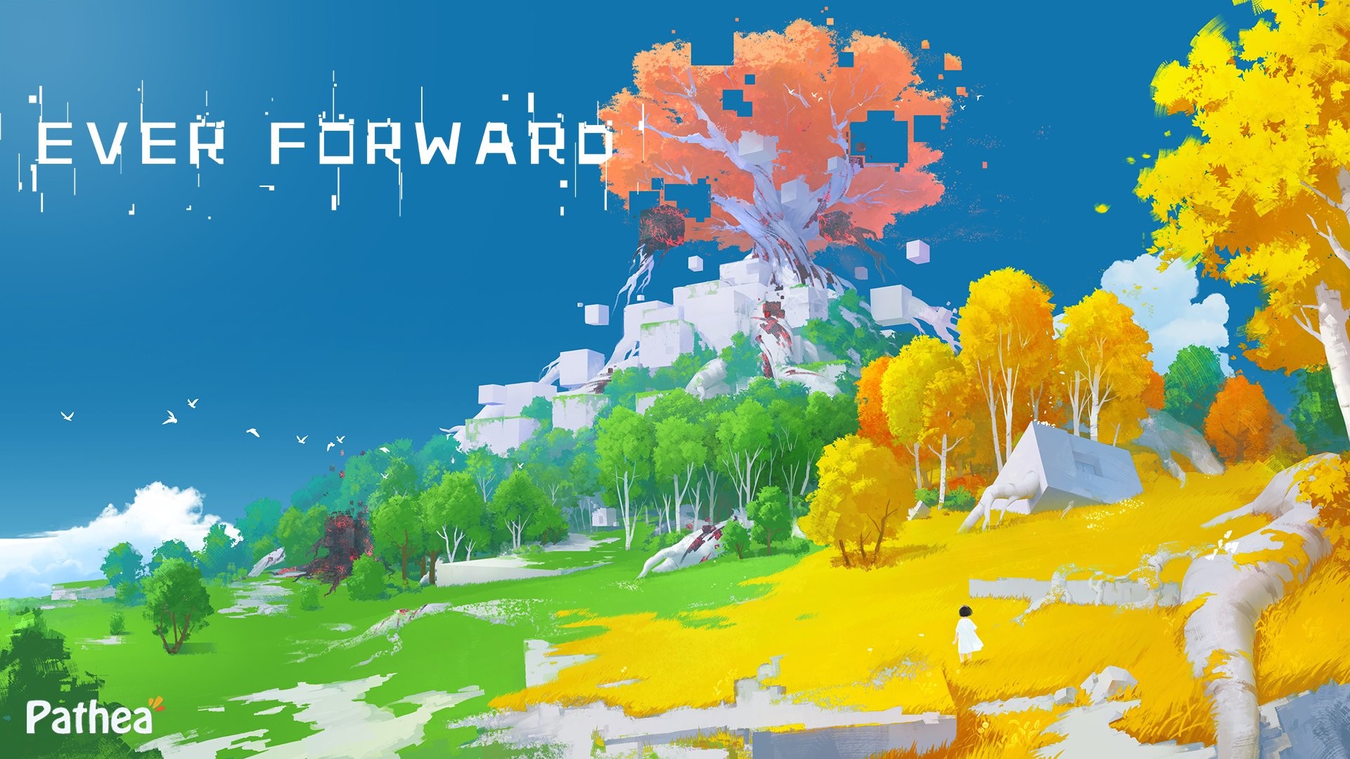 ever forward switch review