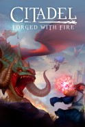Citadel: Forged With Fire - Boxart