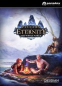 Pillars of Eternity: The White March - Boxart