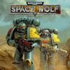 Warhammer 40K: Space Wolf