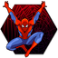 Spider-Man: Shattered Dimensions - PlayStation Trophy #27