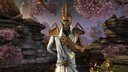 The Elder Scrolls Online - Xbox Achievement #91
