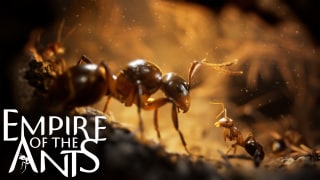 Empire of the Ants - Reveal Teaser Trailer
