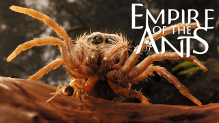 Empire of the Ants - GDC 2024 Gameplay Trailer
