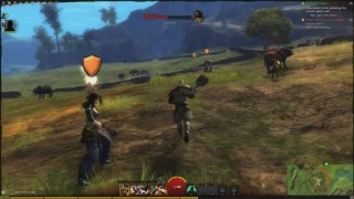 Guild Wars 2 - Offizielles Tutorial Video