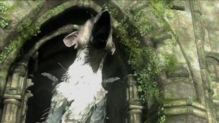Ico & Shadow of the Colossus Collection - Gametrailer
