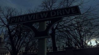 Pineview Drive - Gametrailer