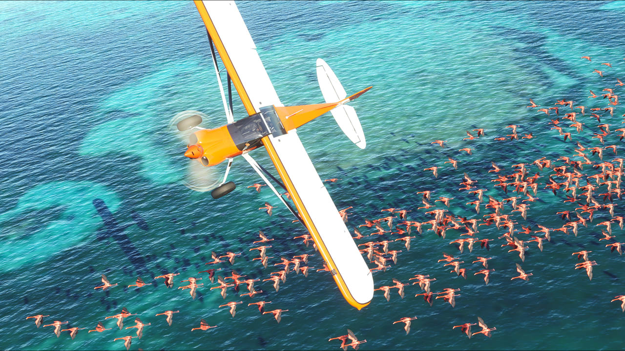 Microsoft Flight Simulator - E3 2019 Announcement Trailer ...